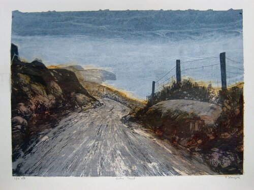 "Bolus Trail" - Irish Landscape von Aidan Flanagan, Druck kaufen auf Singulart