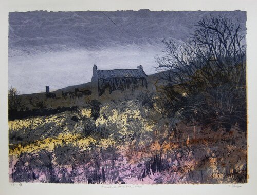 "Abandoned Homestead, Bolus." - Irish Landscape von Aidan Flanagan, Druck kaufen auf Singulart