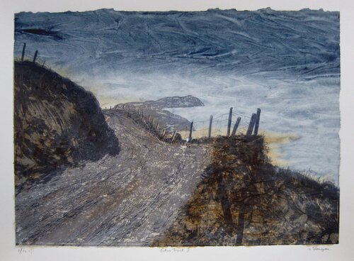 "Bolus Trail 2" - Irish Landscape von Aidan Flanagan, Druck kaufen auf Singulart