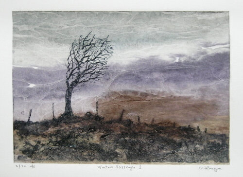 "Winter Bogscape 1" - Ireland Landscape von Aidan Flanagan, Druck kaufen auf Singulart