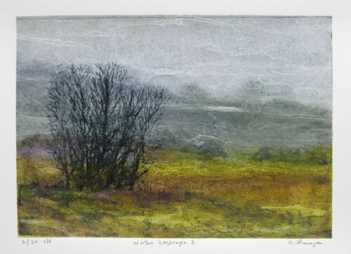 "Winter Bogscape 2" - Ireland Landscape von Aidan Flanagan, Druck kaufen auf Singulart