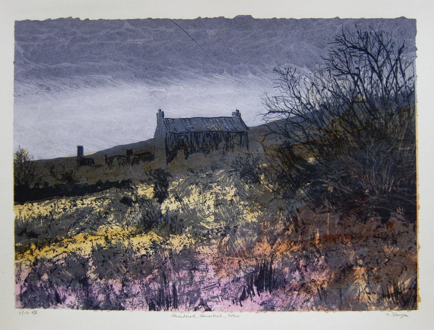 "Abandoned Homestead, Bolus." - Irish Landscape Aidan Flanagan Druck zu verkaufen
