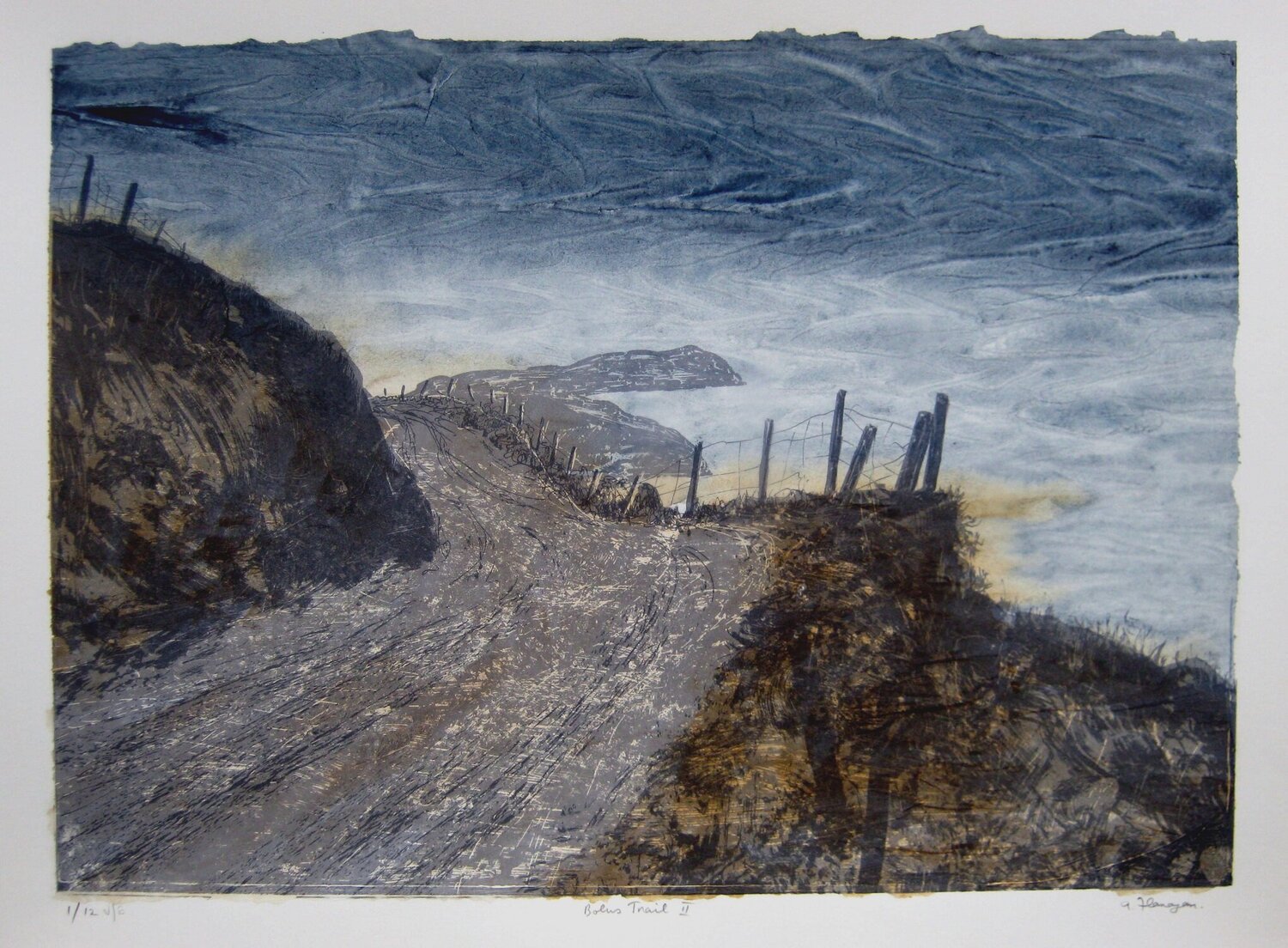 "Bolus Trail 2" - Irish Landscape Aidan Flanagan