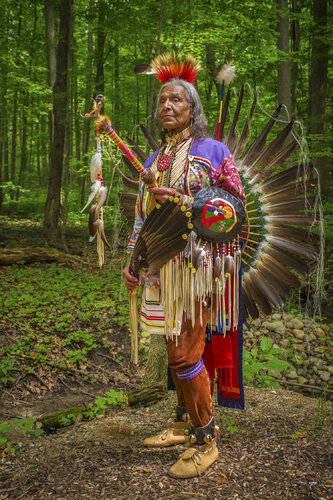 Odawa in Traditional Regalia, from Traditional Subjects, a Native American photo-documentary by James Cook, 사진 for Sale on Singulart