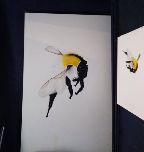 "JUST BEE" di Dan Liefooghe, Pittura in vendita su Singulart