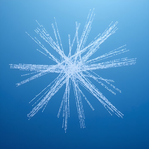 Estrella de agua di Berta Jayo, Fotografia in vendita su Singulart