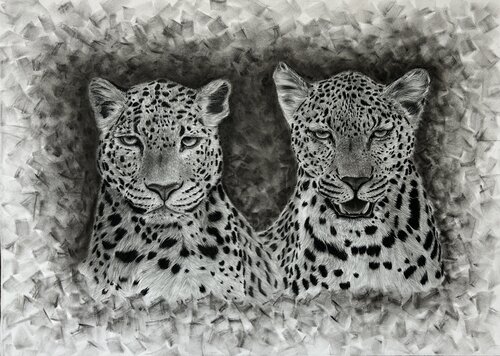 Leopards di Nikoleta Tsvetkova, Disegno in vendita su Singulart