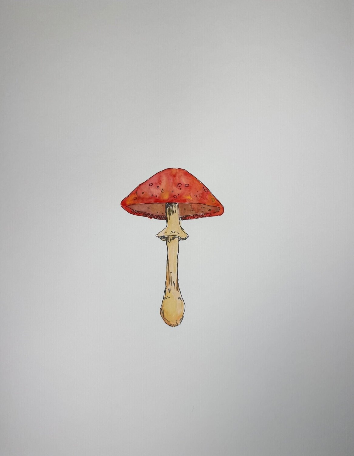 Red Mushroom Bari-Lynn Friedlander Opera su carta in vendita