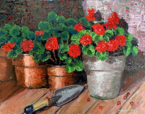 Geraniums In The Sun van Mike Haubenstock, Schilderij te koop op Singulart