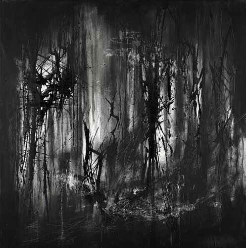FOREST (LIGHTS-SHSDOWS) Silvana Di Vora