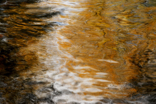 Impressions a la Noguera NR1 von Xavier Manonelles Forcada, Fotografie kaufen auf Singulart
