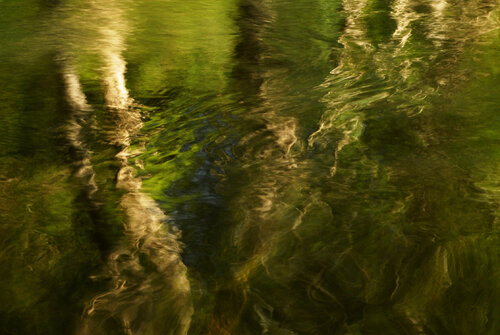 Impressions a la Noguera NR2 von Xavier Manonelles Forcada, Fotografie kaufen auf Singulart