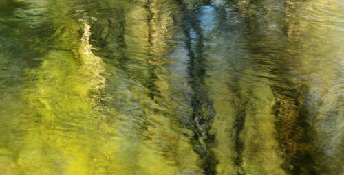 Impressions a la Noguera NR4 von Xavier Manonelles Forcada, Fotografie kaufen auf Singulart