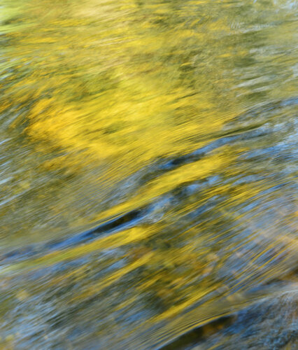 Impressions a la Noguera NR5 von Xavier Manonelles Forcada, Fotografie kaufen auf Singulart