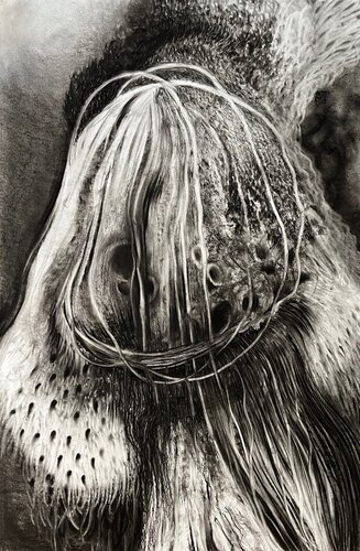 Mother Nature di Philippe Briade, Disegno in vendita su Singulart