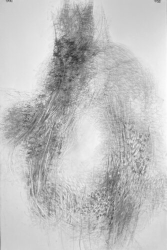 Fragile threads caught in light by Philippe Briade, Drawing for Sale on Singulart