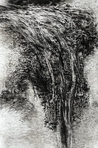 The Ground Remembers de Philippe Briade, Dibujo a la venta en Singulart
