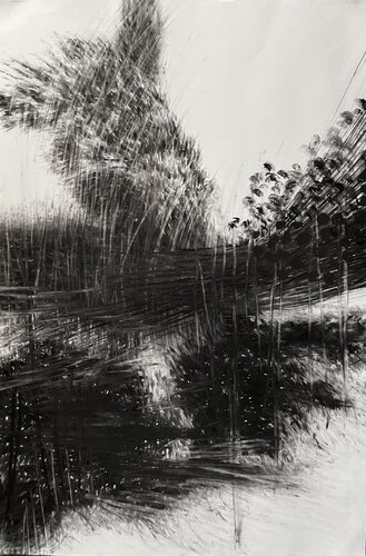 Winds of Change de Philippe Briade, Dibujo a la venta en Singulart