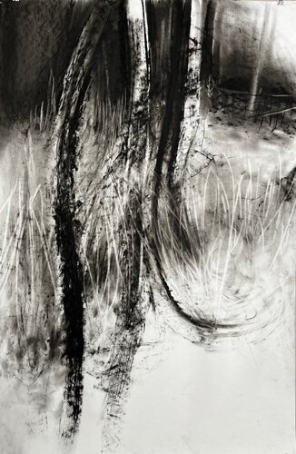 The Forest Waltz von Philippe Briade, Zeichnungen kaufen auf Singulart