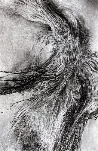 Celestial Flow, Terrestrial Pulse van Philippe Briade, Tekening te koop op Singulart