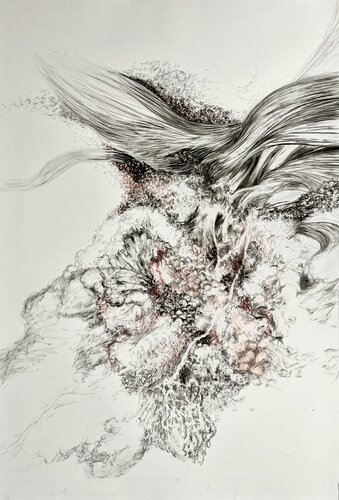 Flesh Blossom (Floraison Charnelle) von Philippe Briade, Zeichnungen kaufen auf Singulart