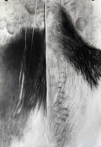 Hide and See van Philippe Briade, Tekening te koop op Singulart