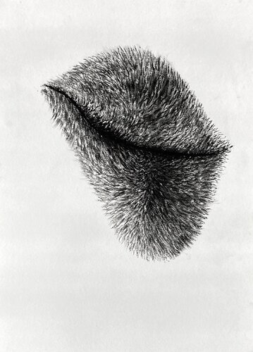 No Satisfaction von Philippe Briade, Zeichnungen kaufen auf Singulart