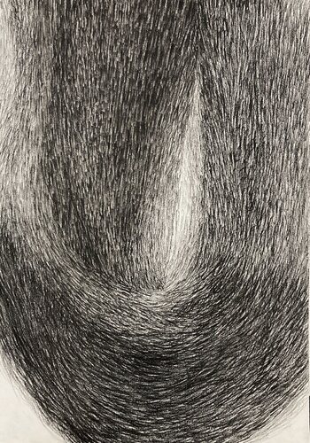 Fur Curve by Philippe Briade, Drawing for Sale on Singulart