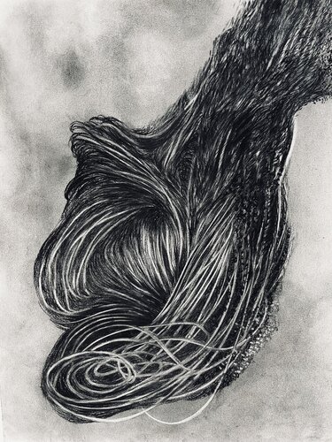 Anatomy of Flow van Philippe Briade, Tekening te koop op Singulart