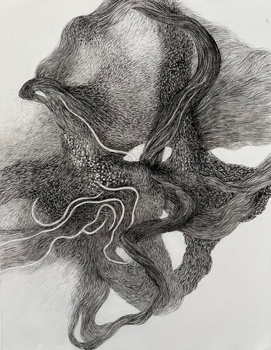 Lines of Becoming - Lignes de devenir van Philippe Briade, Tekening te koop op Singulart