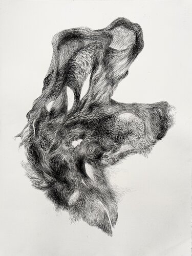 Suspended Turbulence - Turbulence en Suspension de Philippe Briade, Dibujo a la venta en Singulart