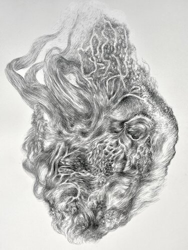 Your Heart is a Fur by Philippe Briade, 소묘 for Sale on Singulart