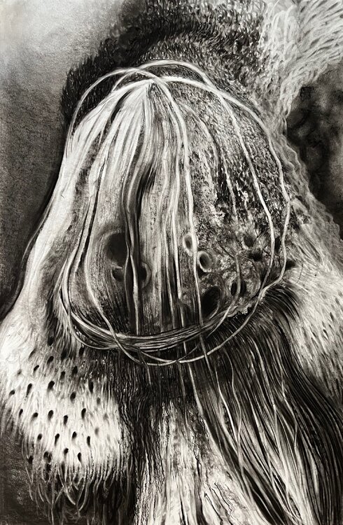 Mother Nature Philippe Briade