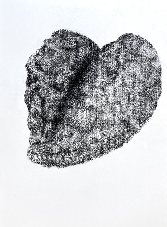 Velvet Pulse Philippe Briade