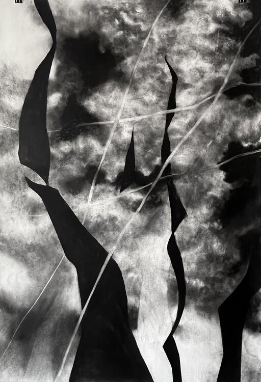 Sky’s Pathways Philippe Briade