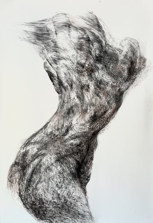 Walking Through My Inner Land Philippe Briade