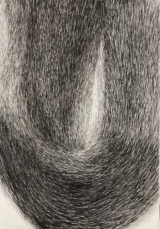 Fur Curve Philippe Briade