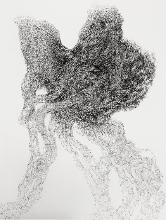 A Fleeting Grace Philippe Briade