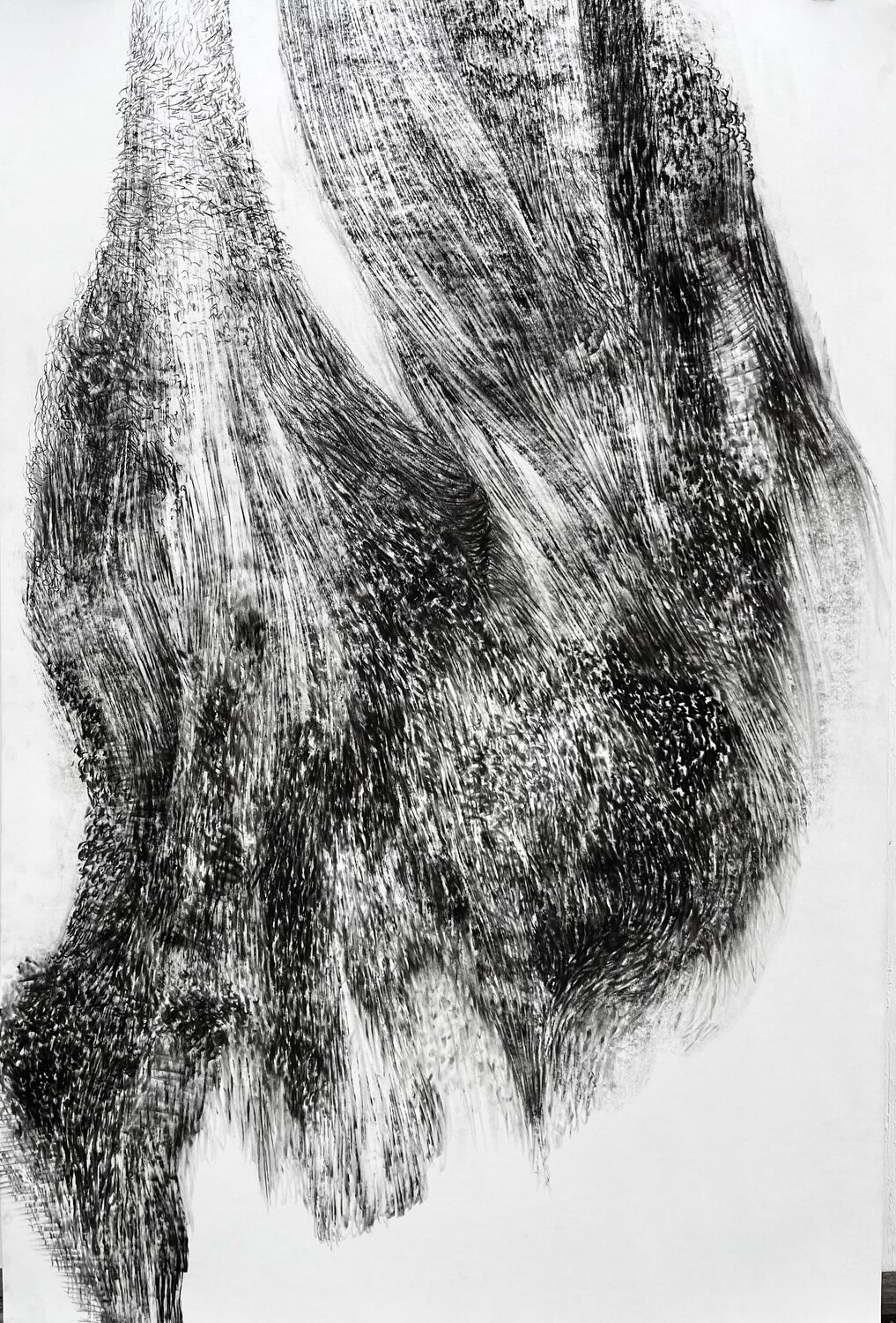A Whisper in the Bark Philippe Briade