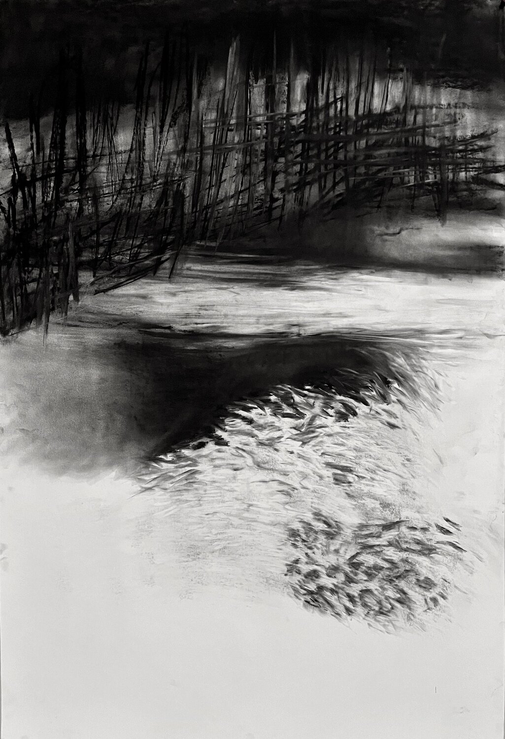 What Remains in the Shadow Philippe Briade