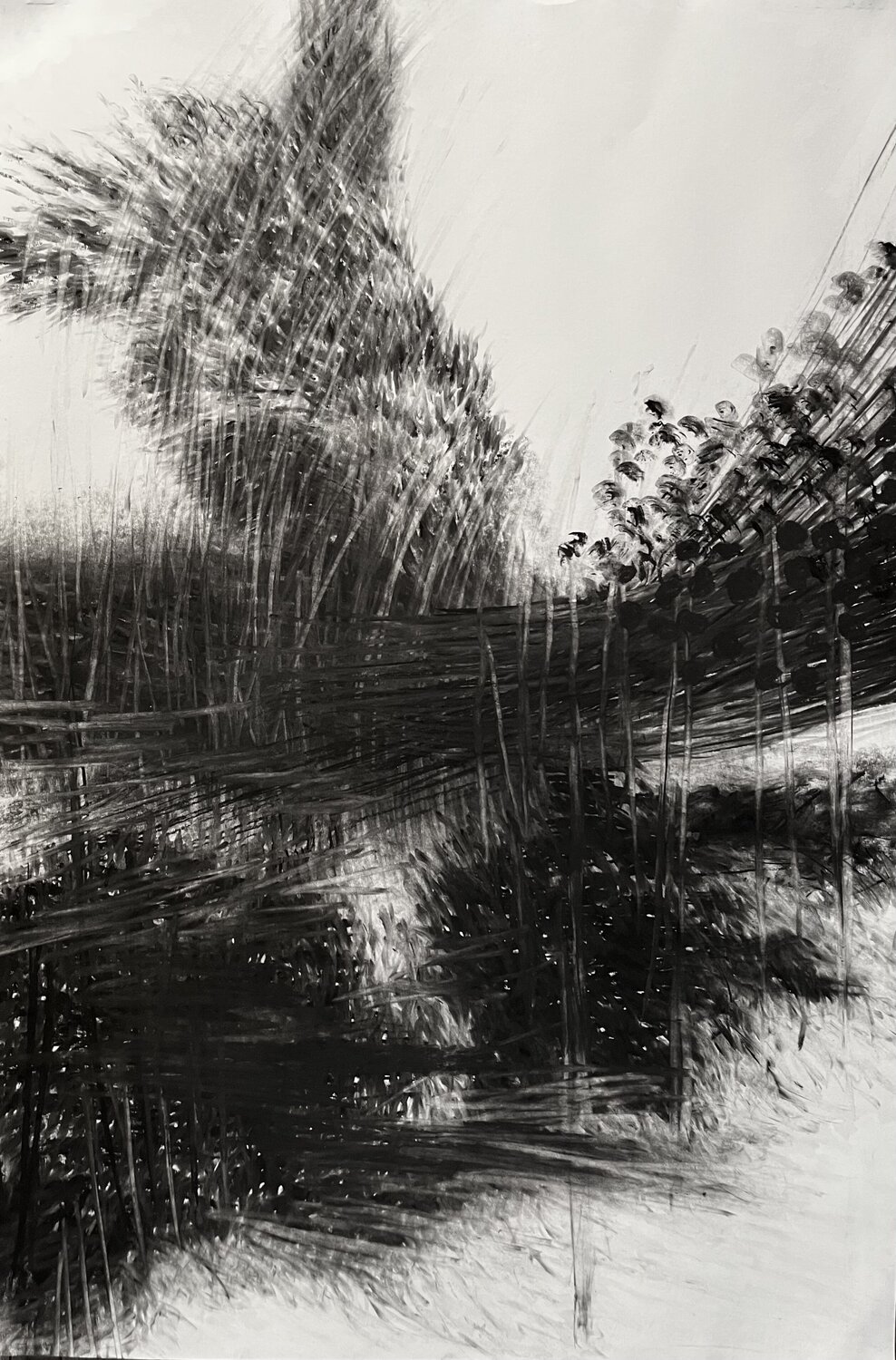 Winds of Change Philippe Briade