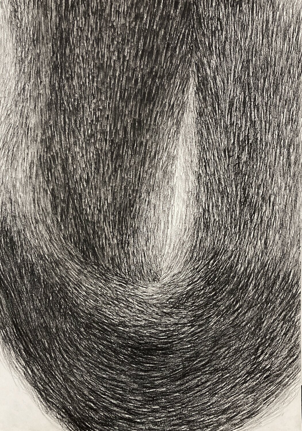 Fur Curve Philippe Briade