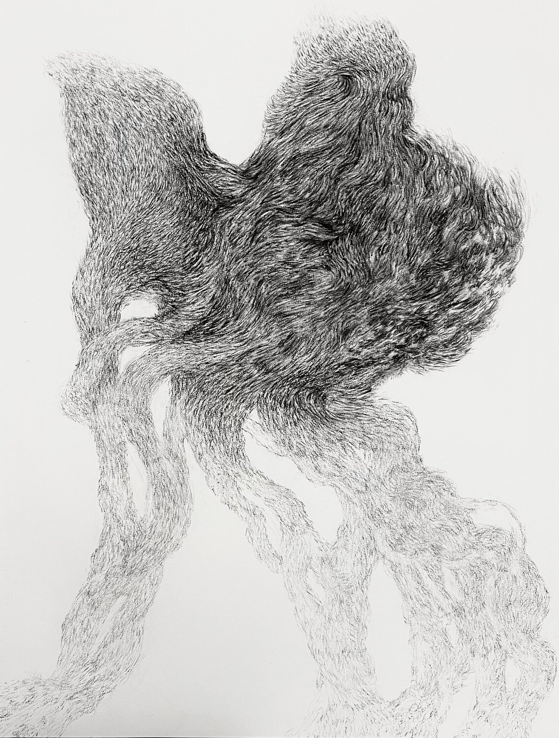 A Fleeting Grace Philippe Briade