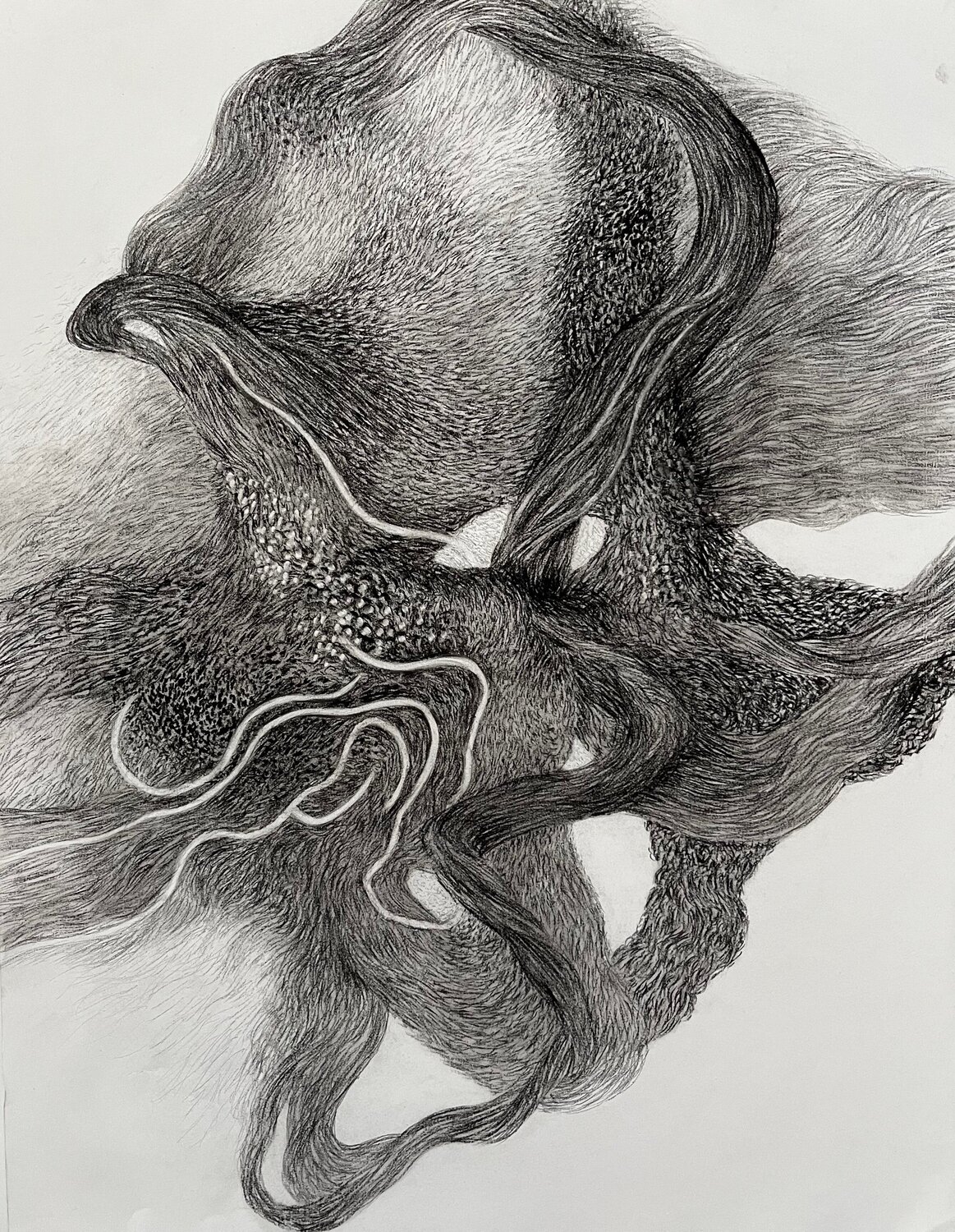 Lines of Becoming - Lignes de devenir Philippe Briade Disegno in vendita
