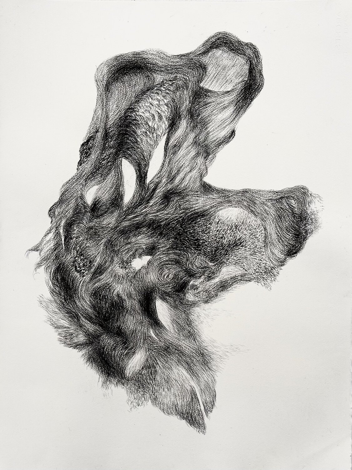 Suspended Turbulence - Turbulence en Suspension Philippe Briade Disegno in vendita