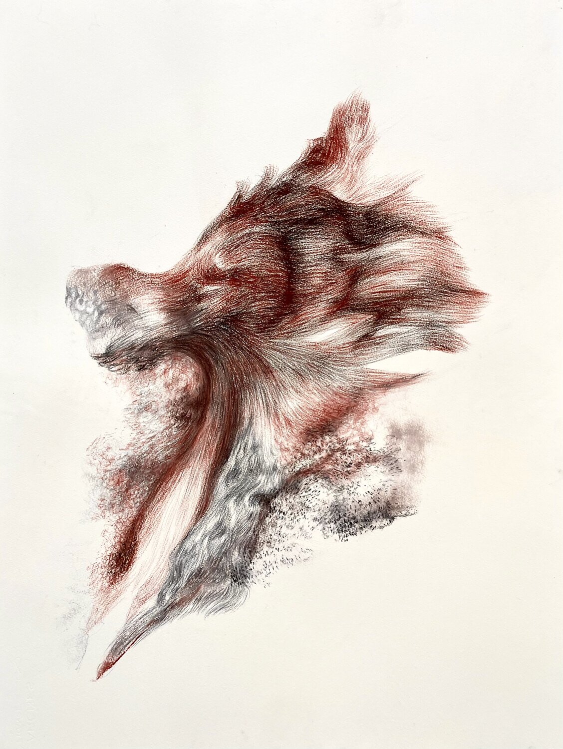 Crossfire Philippe Briade Drawing for sale