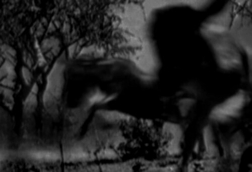 Collective Memory - Natural History 3/12 di Fritz Rumpf, Digitale in vendita su Singulart