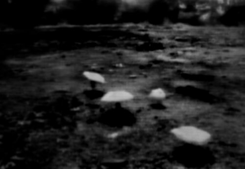 Collective Memory - Natural History 7/12 par Fritz Rumpf, Digital en vente sur Singulart