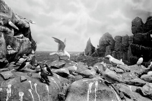 Diorama 7/12 von Fritz Rumpf, Fotografie kaufen auf Singulart