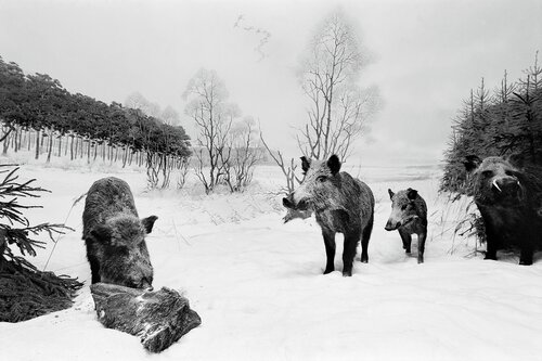 Diorama 11/12 Fritz Rumpf